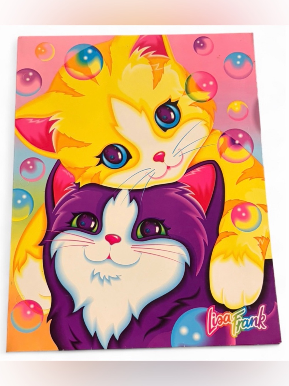 Lisa Frank Y2K No. 8493 Cuddly Kittens Bubbles Cats Colorful Kawaii Folder